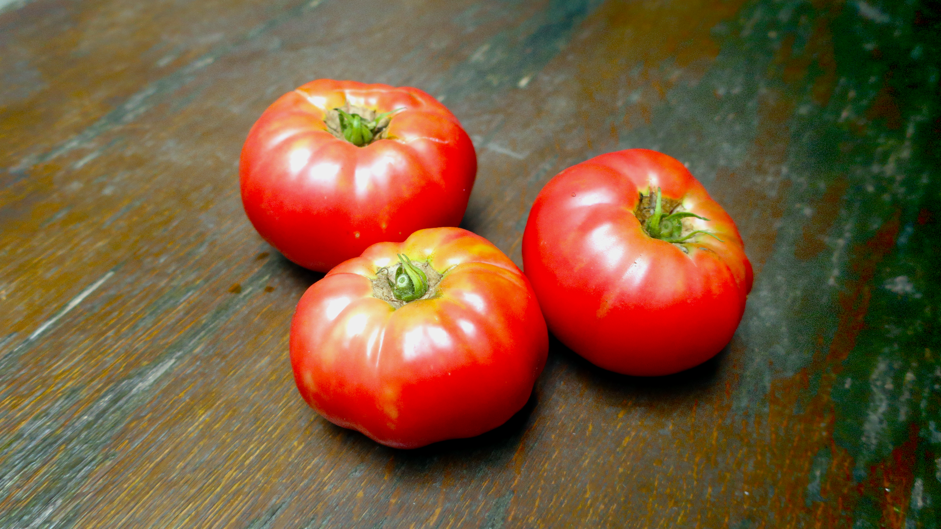 ブッシュトマトの種(コンパクト・ドワーフトマト) 【公式通販】 ブッシュトマトの種(コンパクト・ドワーフトマト) 【公式通販】