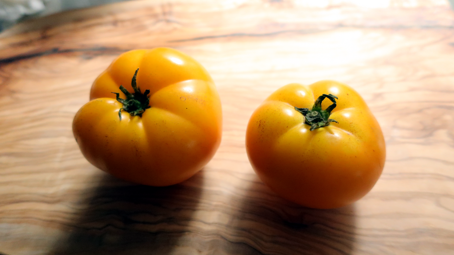 Sean's Yellow Dwarf ショーンズイエロー ドワーフ ドワーフトマト 種子 トマトのたねや