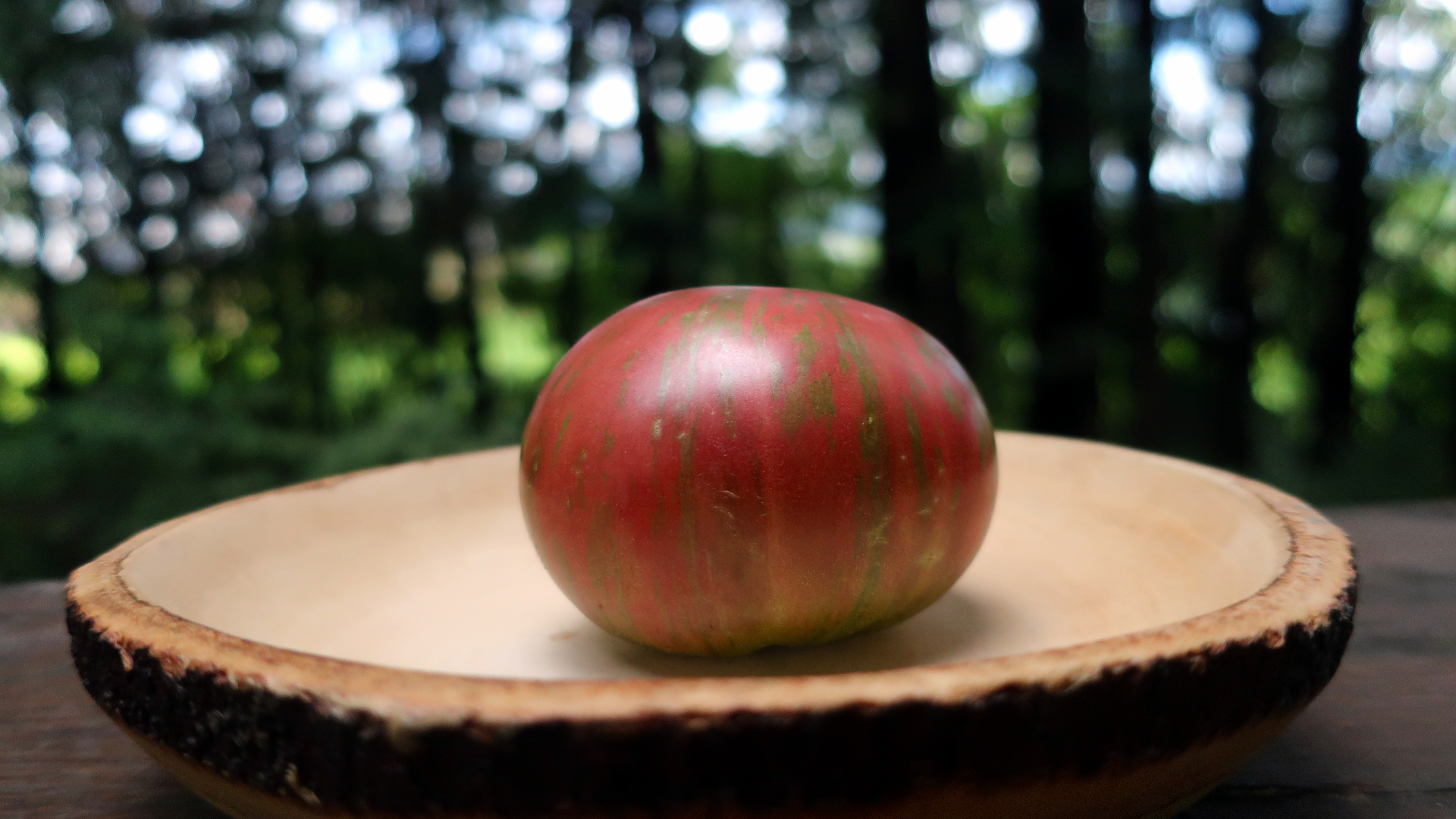 adelaide-festival-17