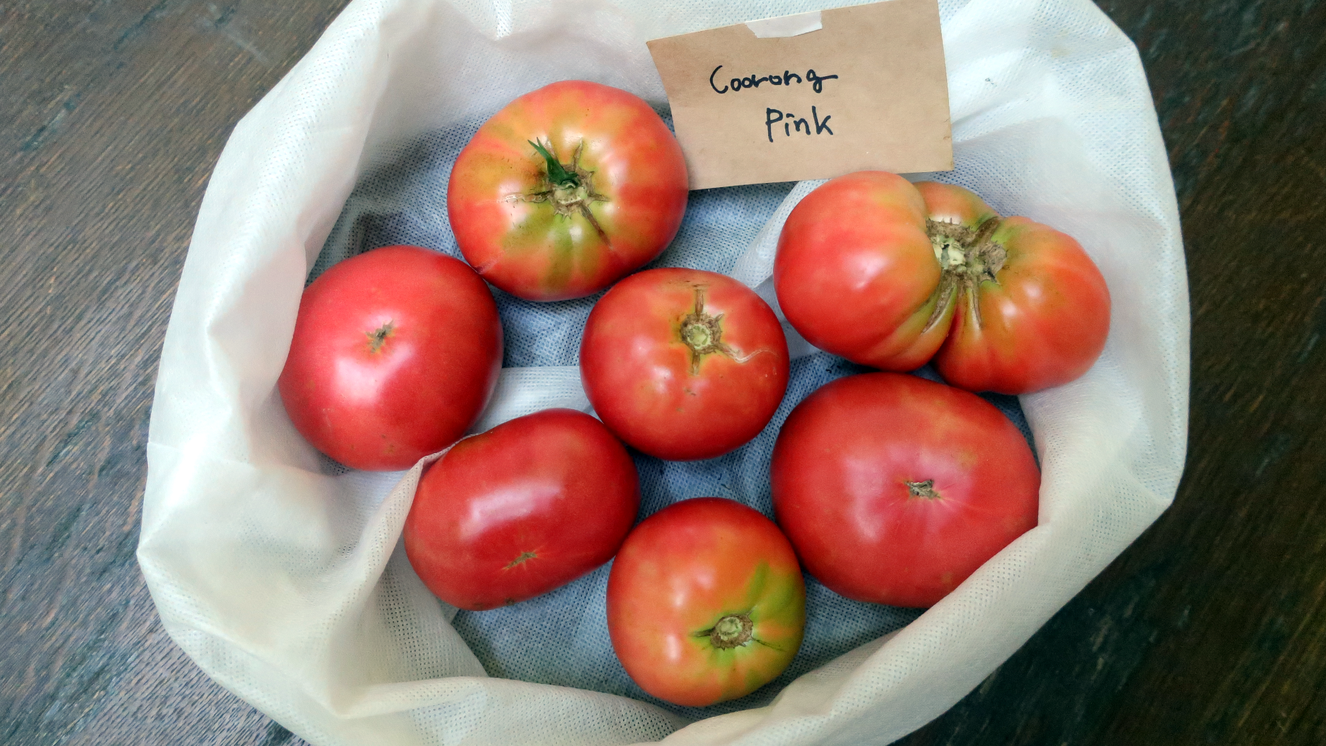 coorong-pink-9