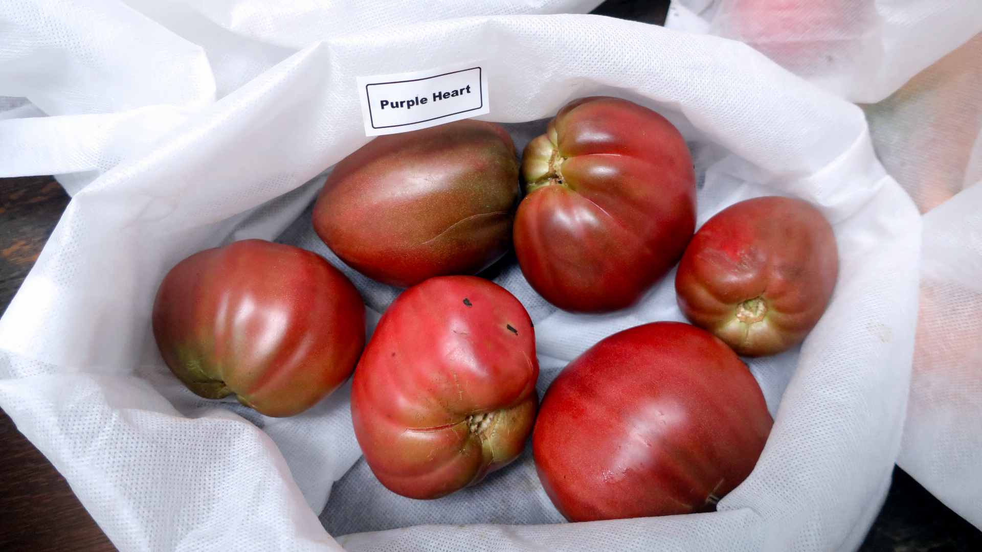dwarf-purple-heart-2