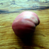dwarf-purple-heart-4