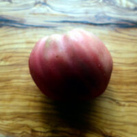 dwarf-purple-heart-6