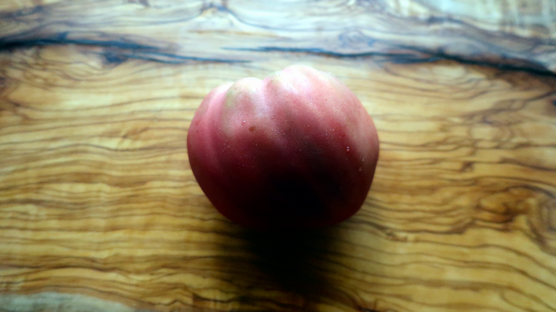 dwarf-purple-heart-6