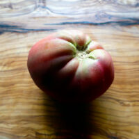 dwarf-purple-heart-8