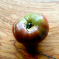 dwarf-wild-spudleaf-3