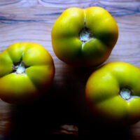 kangaroo-paw-green-8