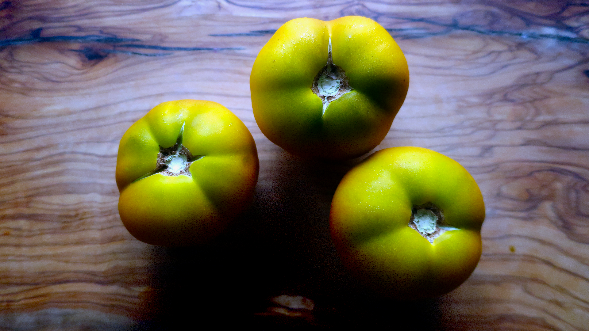 kangaroo-paw-green-8