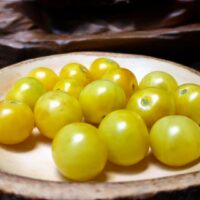 napa-chardonnay-8